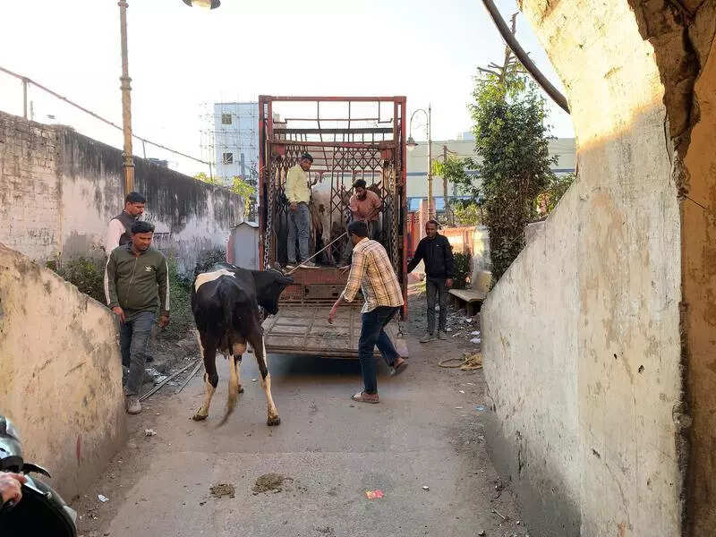msid 121220114,imgsize 74056 https://jaipur.visitinrajasthan.com/wp-content/uploads/2023/10/cropped-cropped-R-2.png