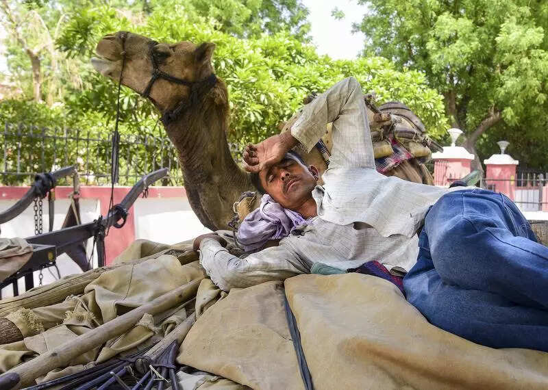 msid 121241432,imgsize 83306 https://jaipur.visitinrajasthan.com/wp-content/uploads/2023/10/cropped-cropped-R-2.png
