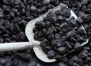 India’s coal imports fall 1.7% to 260 million tonnes in FY25