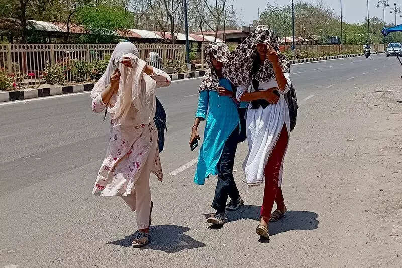 msid 121275745,imgsize 108204 https://jaipur.visitinrajasthan.com/wp-content/uploads/2023/10/cropped-cropped-R-2.png