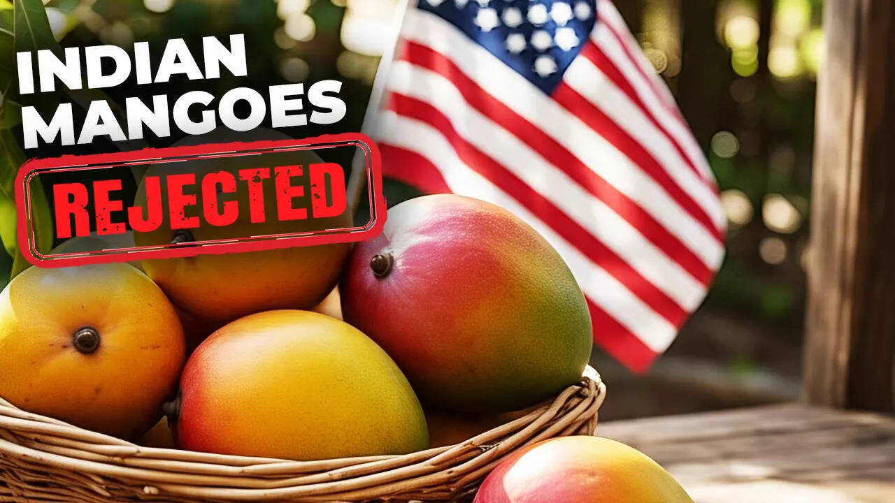 ‘Instead of discussing the matter...’: Row erupts over India’s mango exports rejection; authorities say US inspectors did not follow protocol