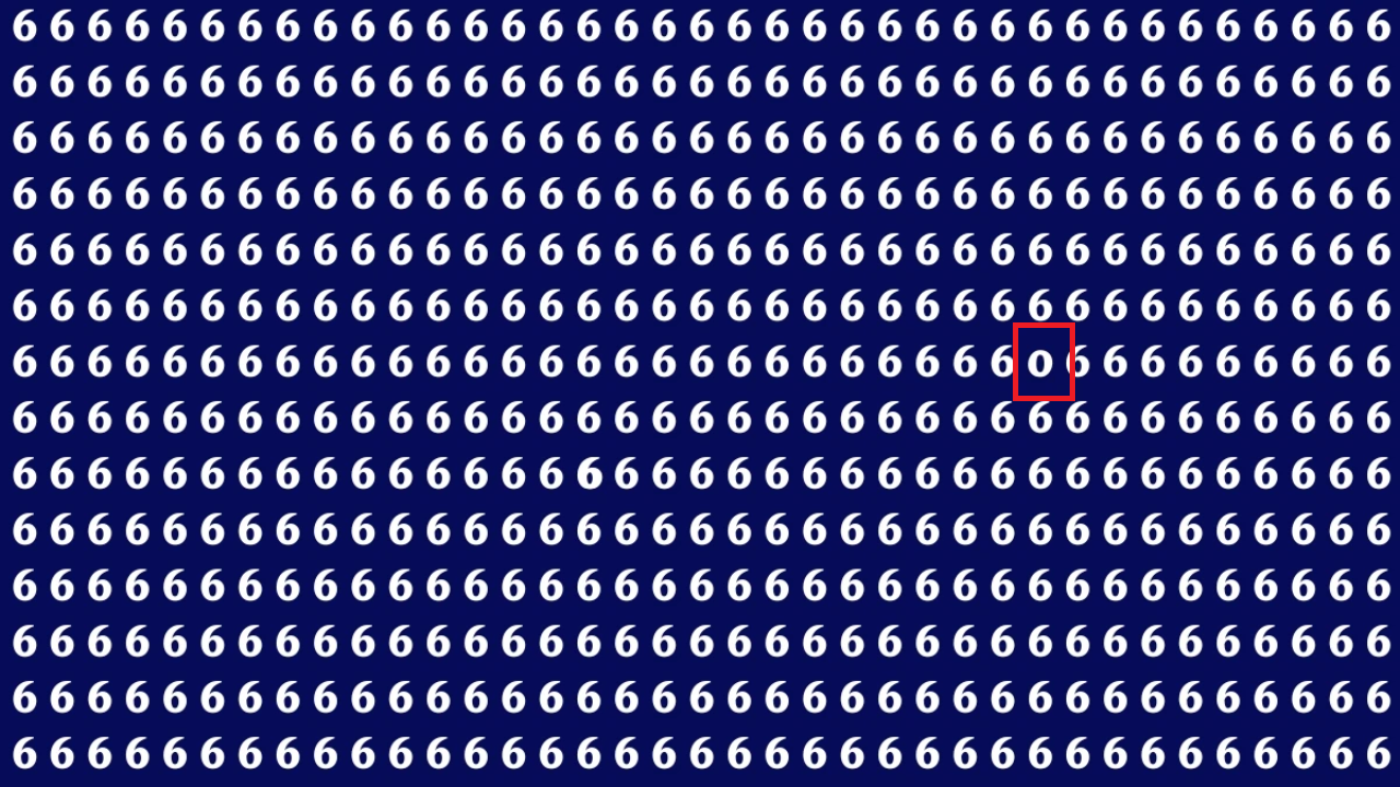 optical illusion answer