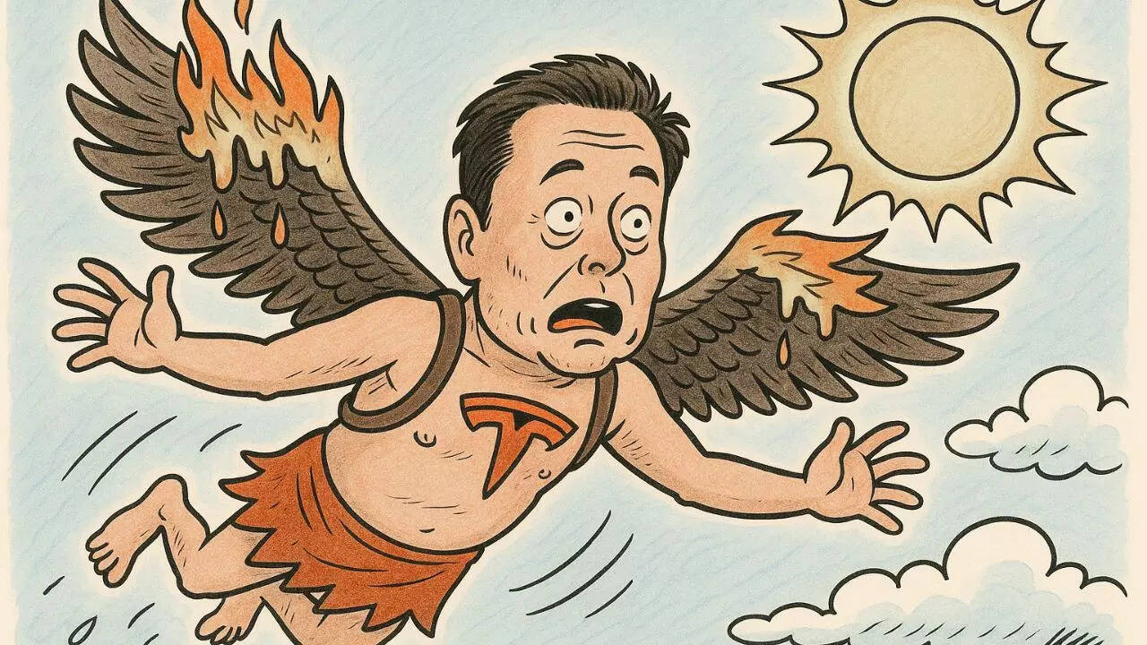 Elon Musk Endgame: Inside story of Elon Musk's 'DOGE'y exit from Washington