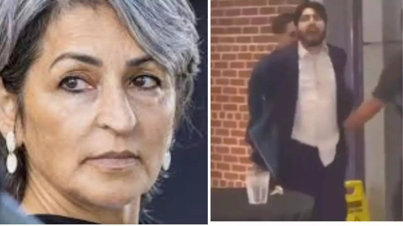 Palestinian-American author supports killing of Israeli diplomats in DC, says she's surprised it didn't happen sooner