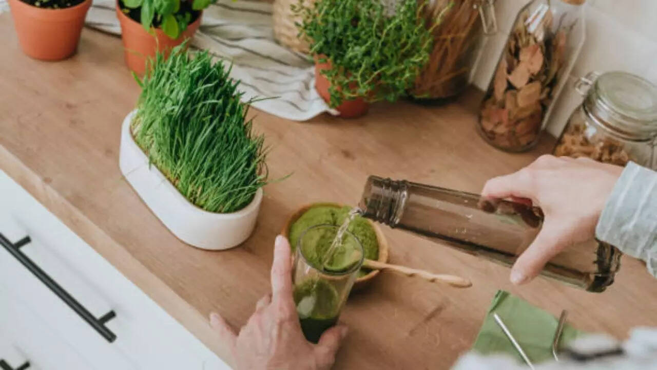 Wheatgrass juice