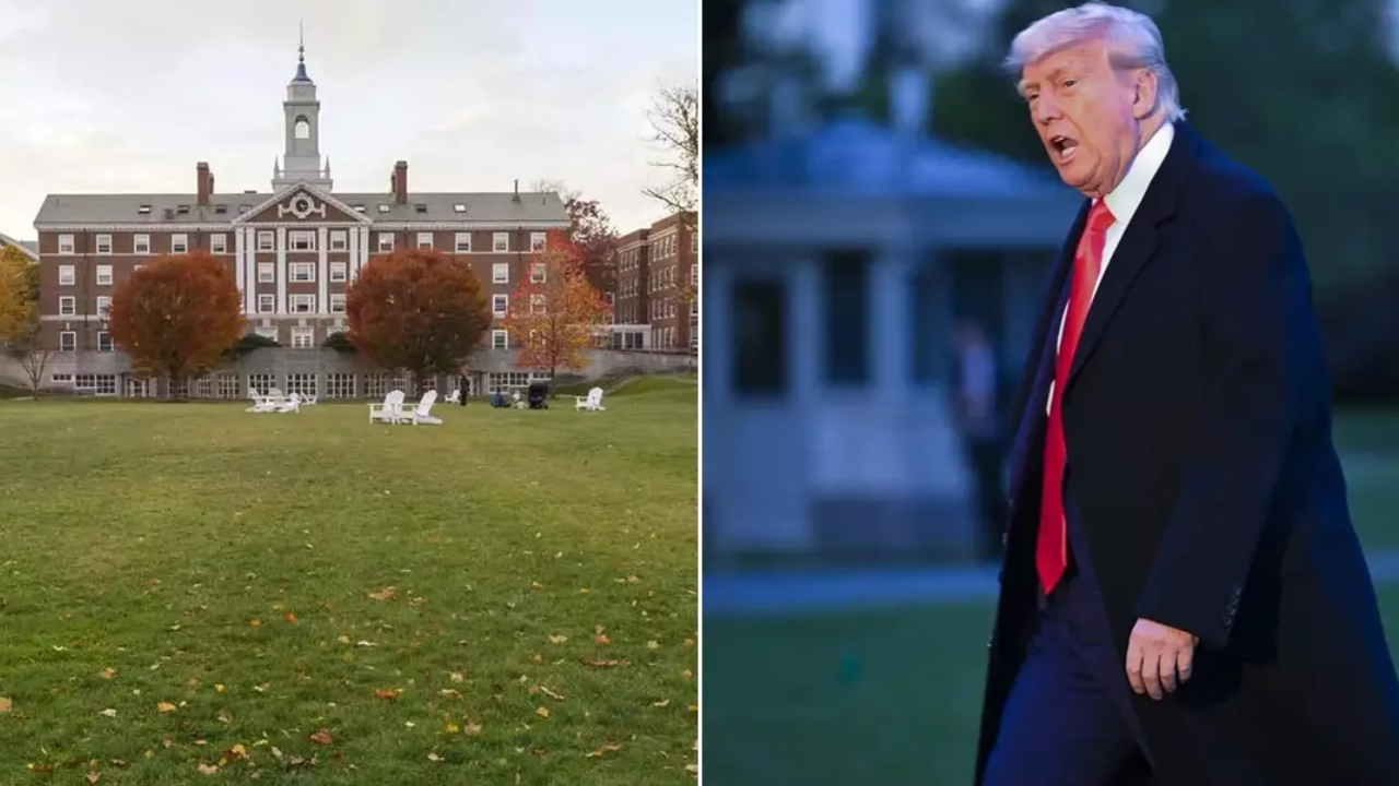 'They're 31% foreign and won't tell us who they are': Donald Trump on Harvard University row