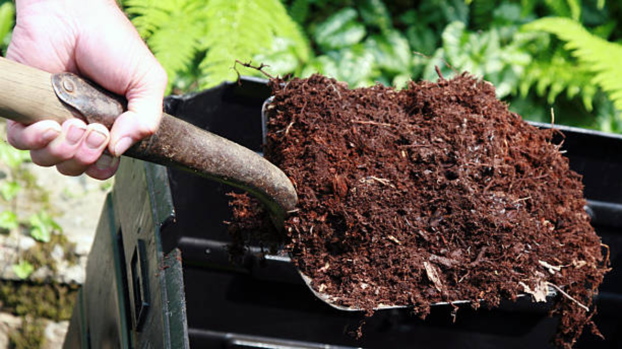 Bio-fertilisers are organic matter that includes live microbial organisms, including bacteria, fungi, or algae