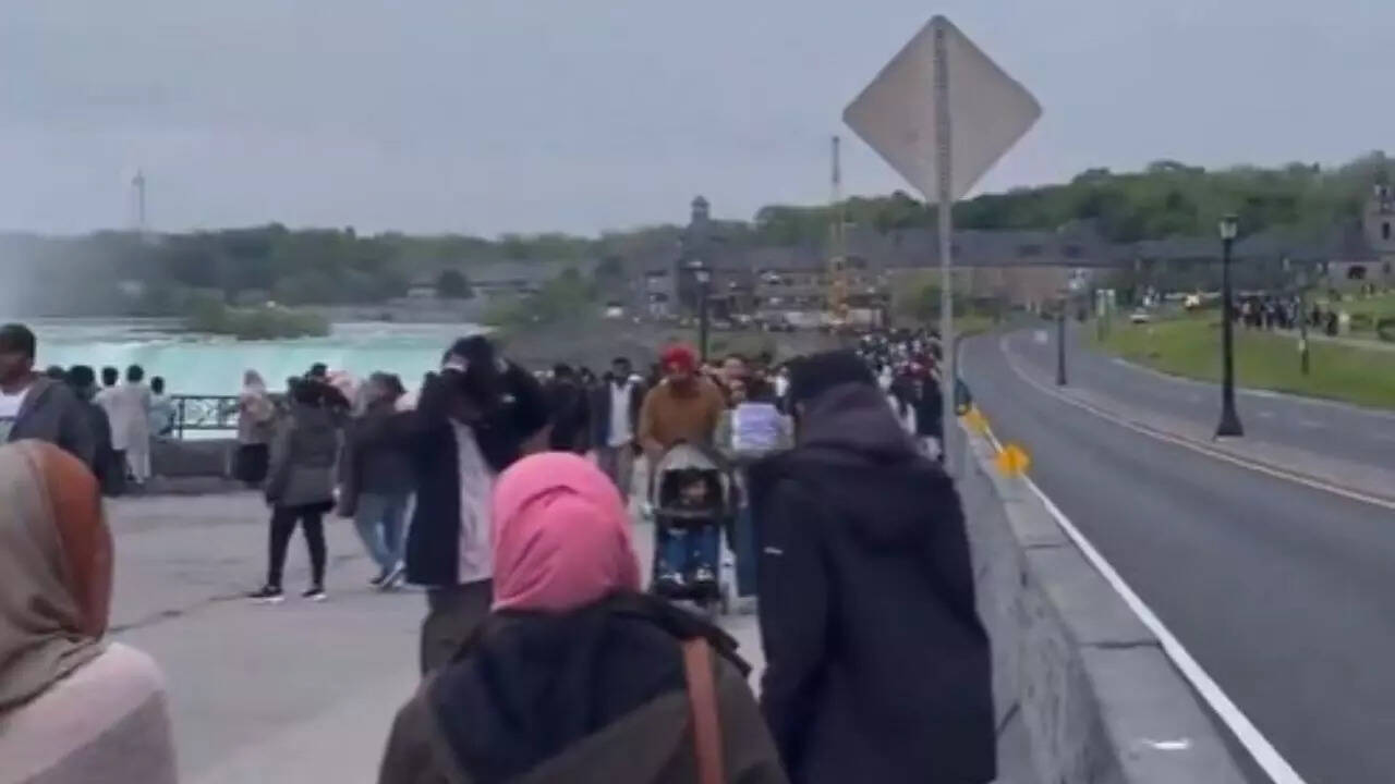 'Every day is Indian day': Social media post of a crowd at Niagara Falls goes viral