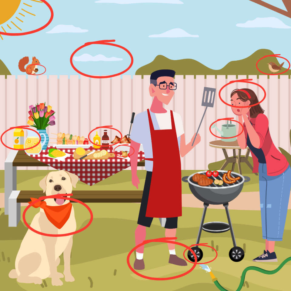 spot-12-differences-family-barbecue-998698030.