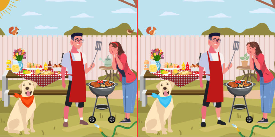 spot-12-differences-family-barbecue-998698031.