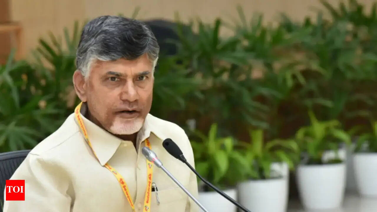 Chandrababu Naidu retains TDP helm after 30 years of leadership