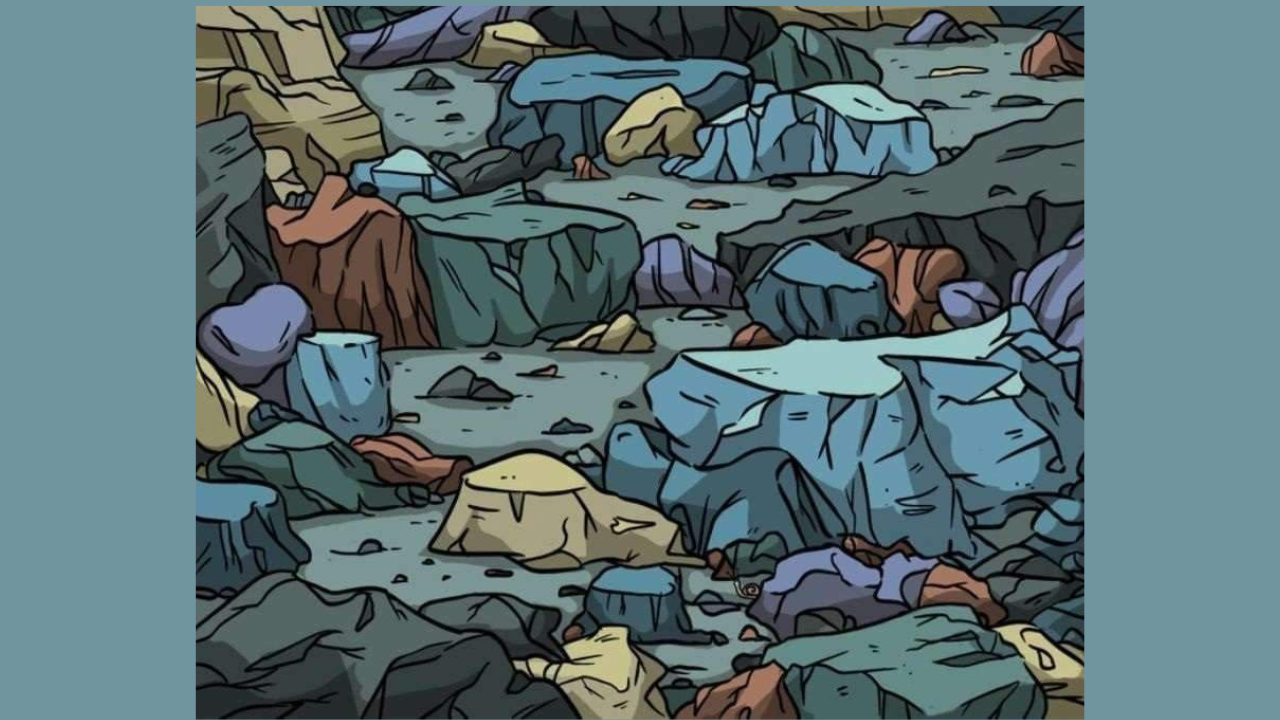 Optical Illusion: One snail is hiding among the rocks; can you spot it?