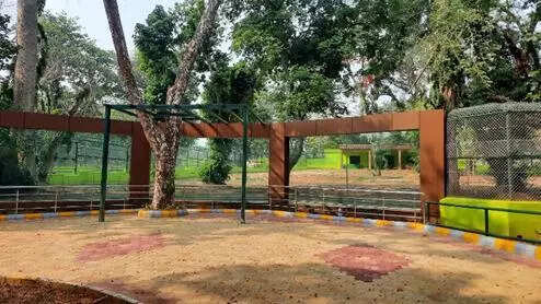 Revamped Tata Zoo with glass enclosure a hit among visitors