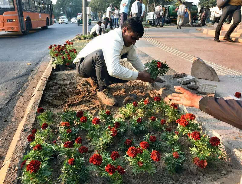 12k flowering saplings to be planted at central Ridge