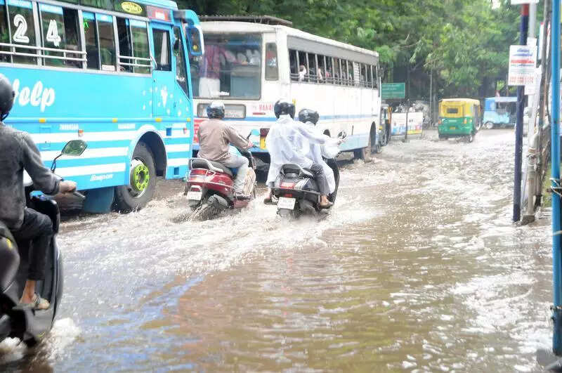 IMA demands action on monsoon-related health threats