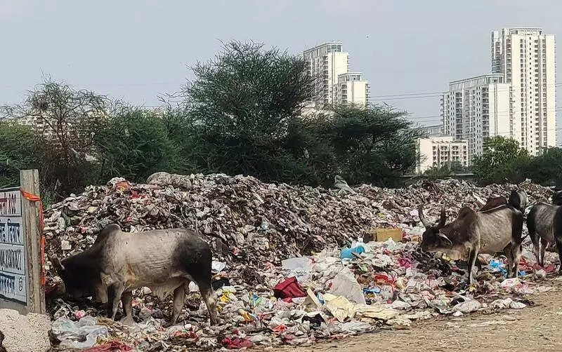 MCM set to extend garbage pickup to new sector condominiums