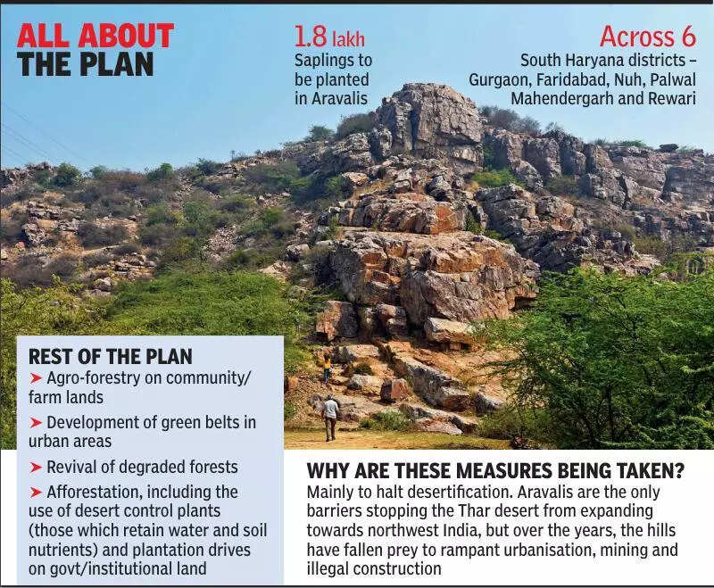 Haryana launches 853-hectare Aravali revival plan to stop desertification