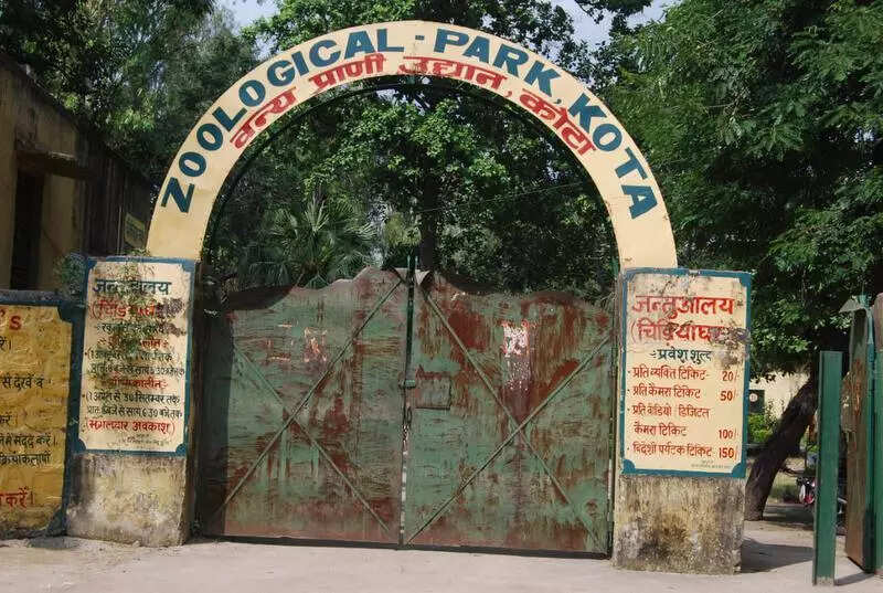 msid 121473903,imgsize 88766 https://jaipur.visitinrajasthan.com/wp-content/uploads/2023/10/cropped-cropped-R-2.png