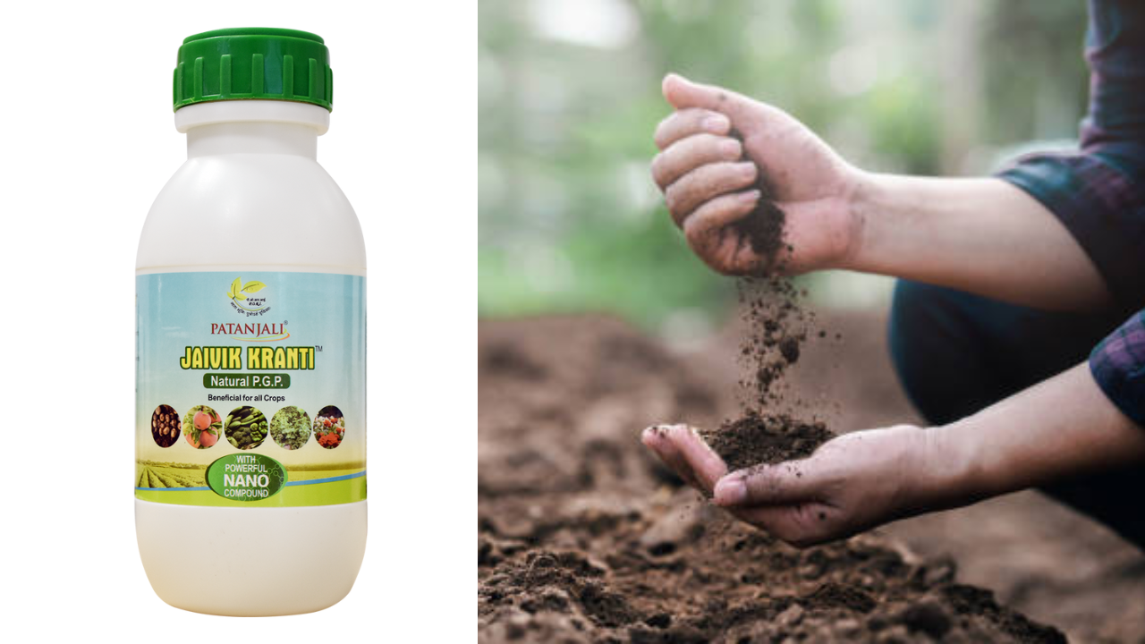 Patanjali Jaivik Kranti offers a complete, all-round solution that works for all crop types and seasons