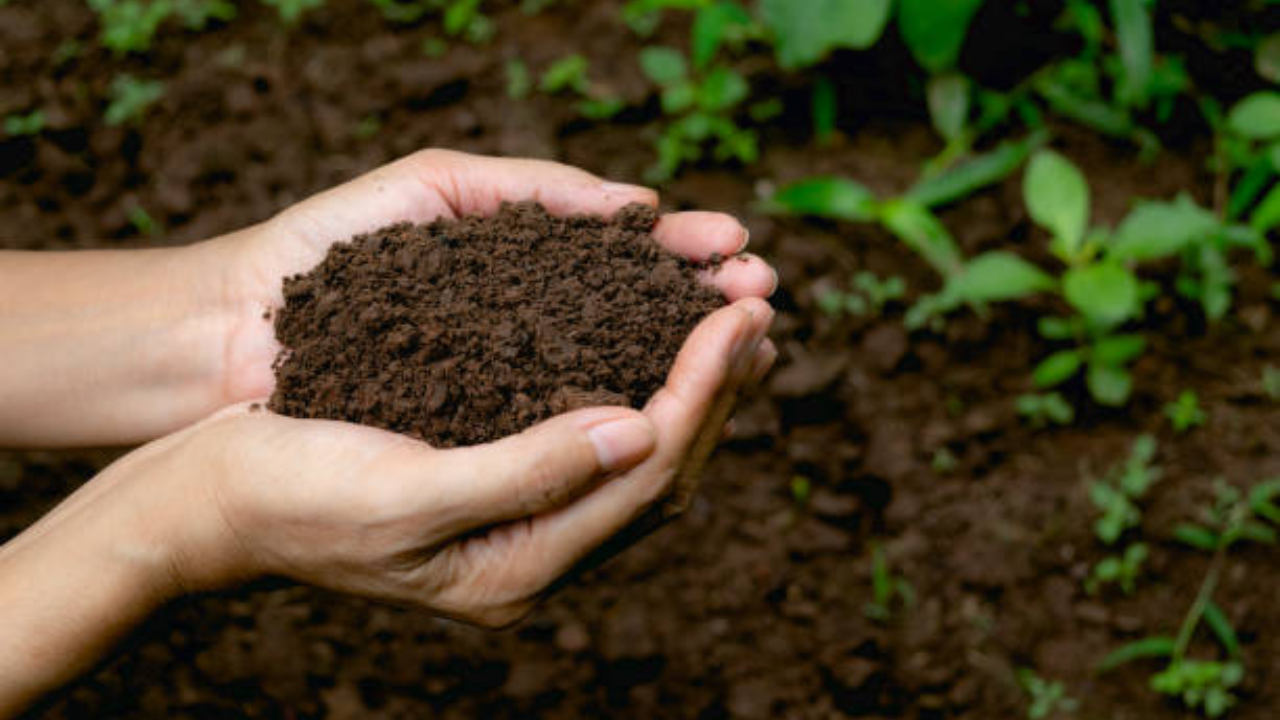 “Jaivik Kranti” means “Organic Revolution” and that’s exactly what this product brings to Indian agriculture