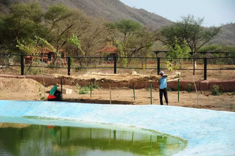 msid 121504461,imgsize 80126 https://jaipur.visitinrajasthan.com/wp-content/uploads/2023/10/cropped-cropped-R-2.png
