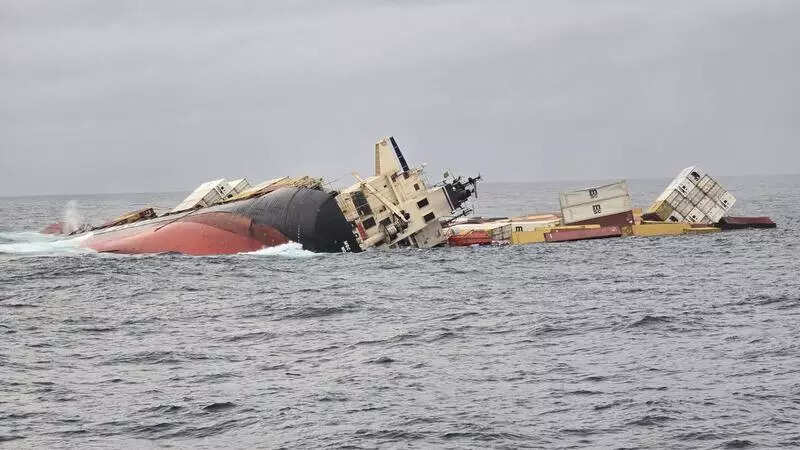 Govt sets up panels to oversee wreckage effect