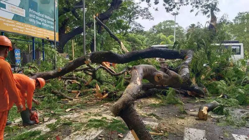 Each district granted 1 crore for disaster preparedness