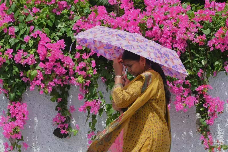 Above avg rainfall, moderate temperatures mark summer