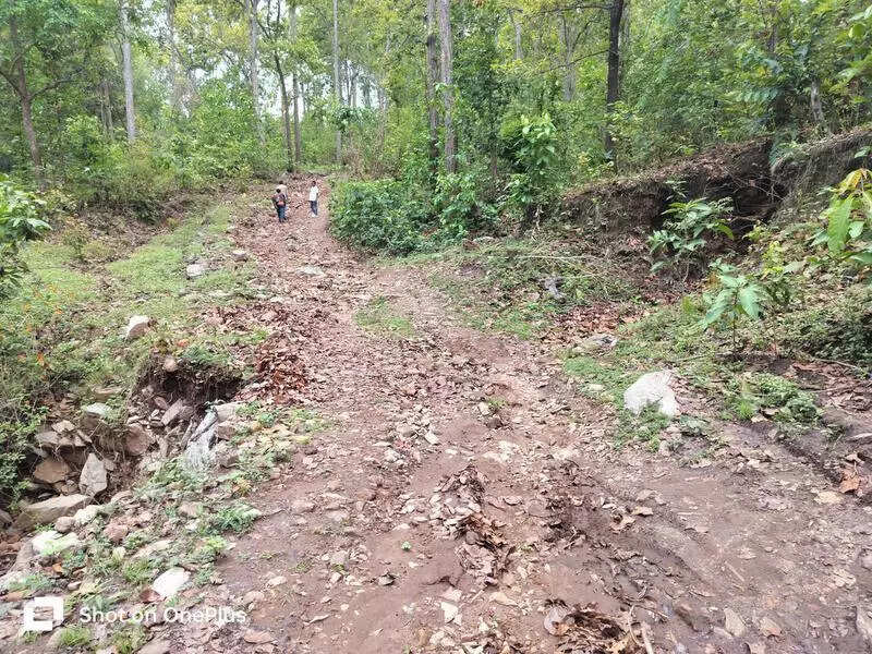 PVTG hamlet in Gumla to get first pucca road soon