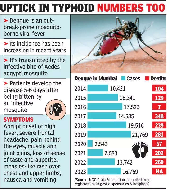 Docs see rise in dengue & malaria cases as rains arrive early; BMC says no spike