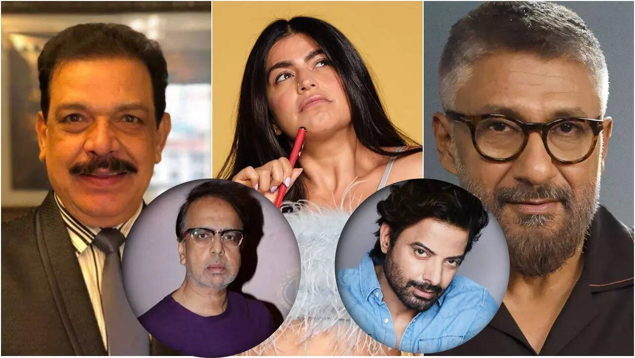 Why age gap romance still rules Indian cinema - Excl