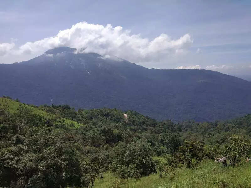 Karnataka government to study carrying capacity of Western Ghats
