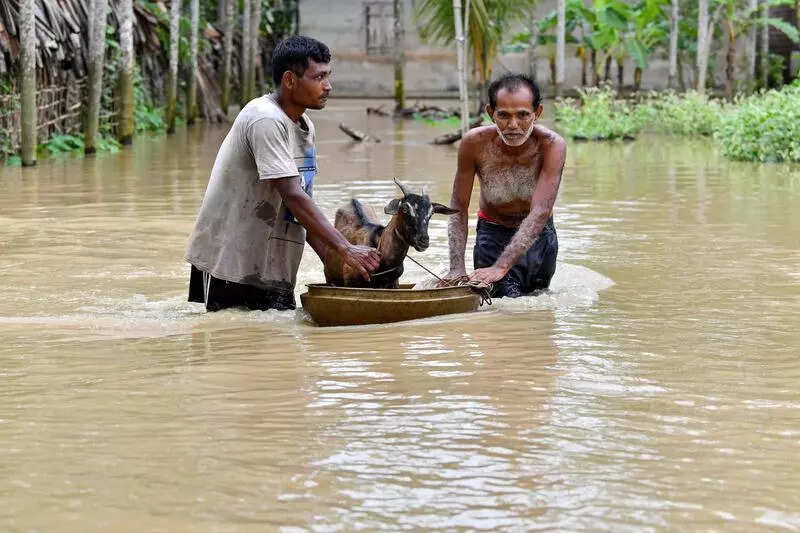 Pushed to hills by costs, Bonda family left in ruins by landslides
