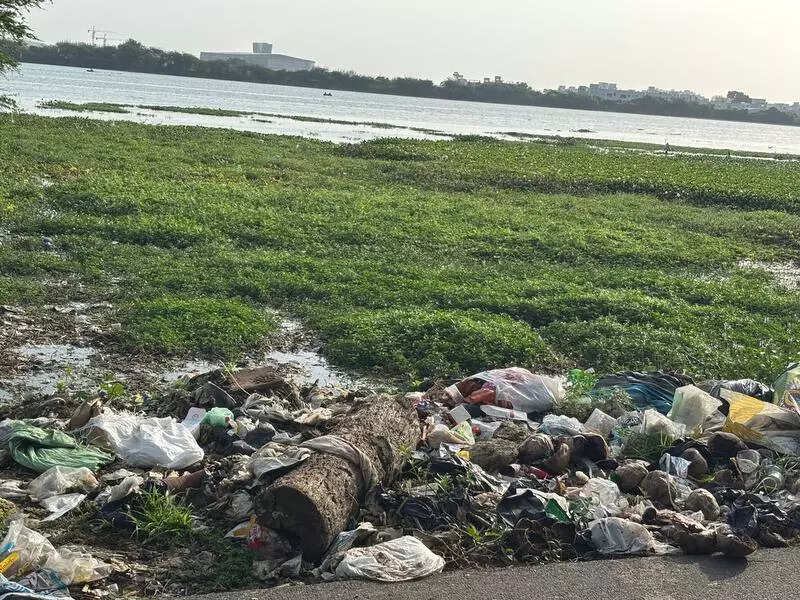 50 weekends of lake clean-up in vain
