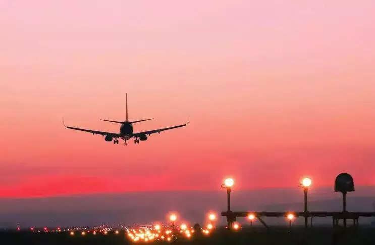 37 exotic reptiles deported from airport for violations