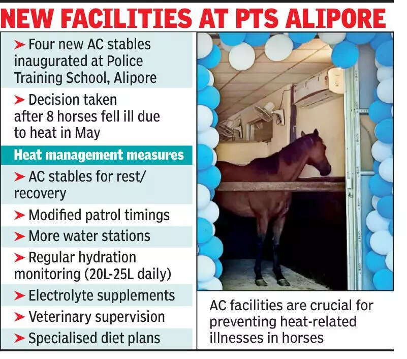 As heat soars, cops gift 4 AC stables to their horses