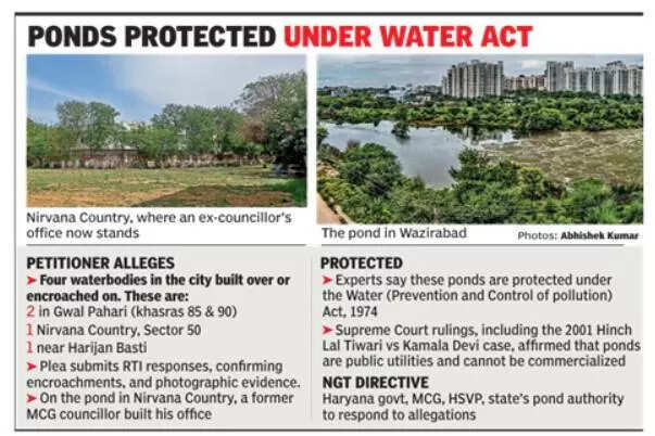 Water bodies lost to urbanisation? NGT serves notice to Haryana over encroachments