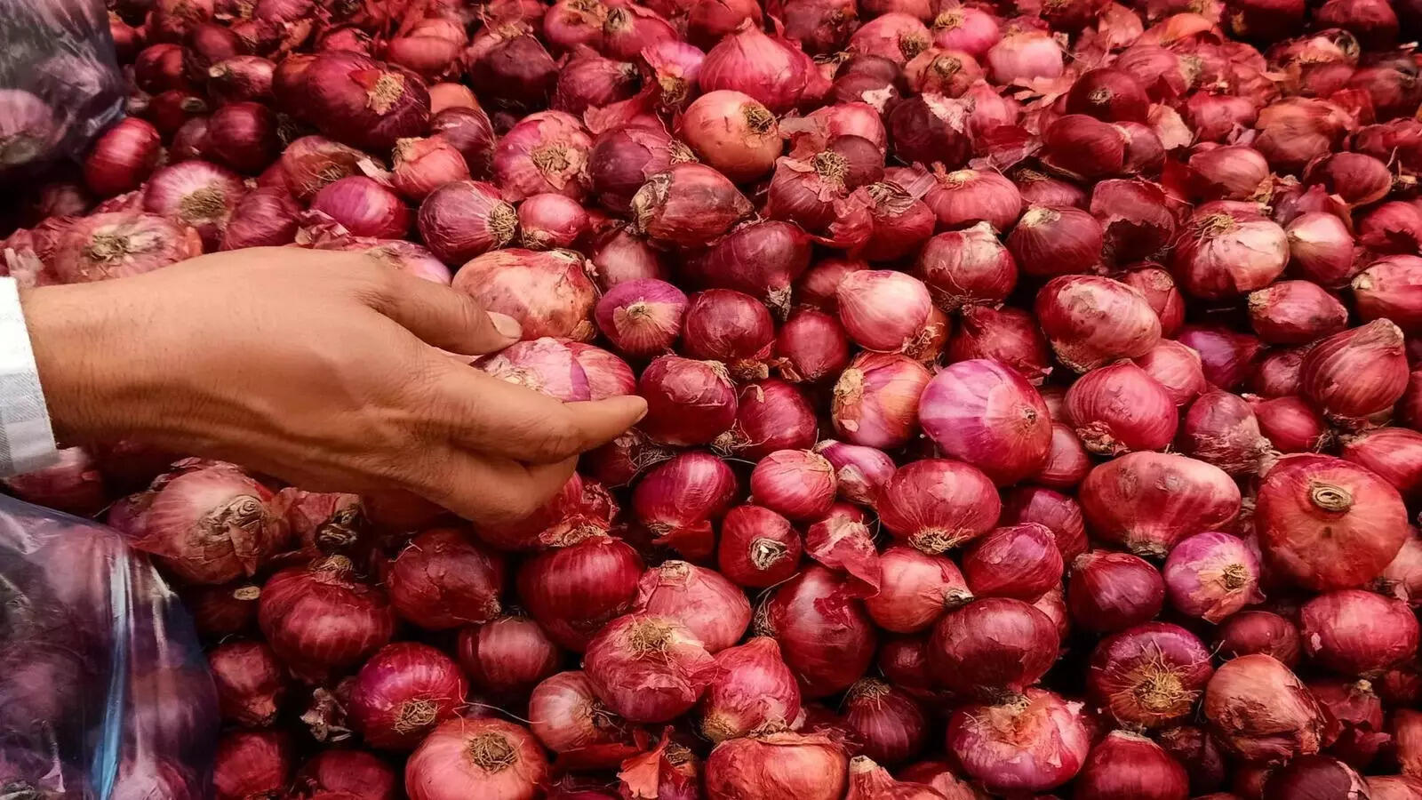 After tomatoes, onions, veggies see price rise due to early monsoon