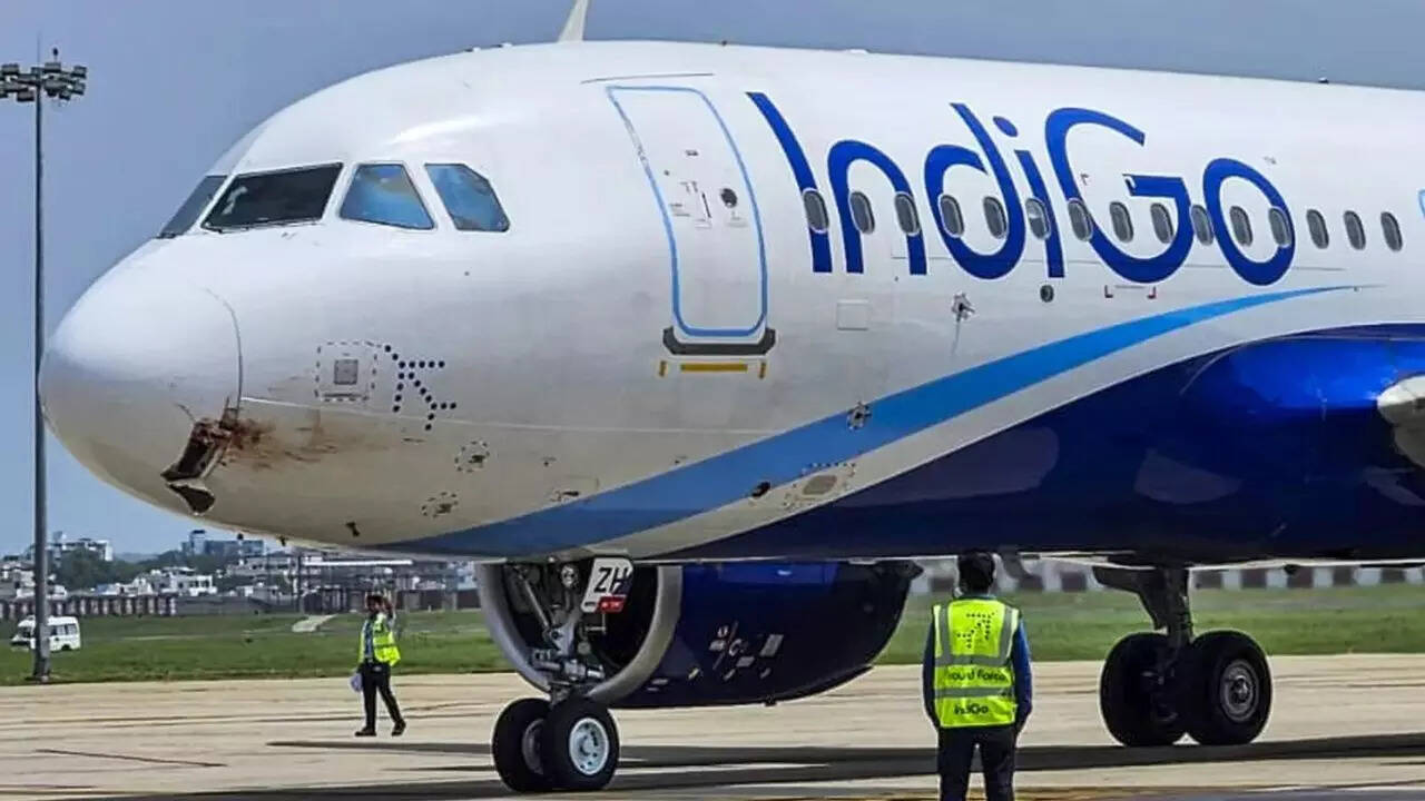 IndiGo flight hit by vulture at 4,000 feet, makes emergency landing at Ranchi airport