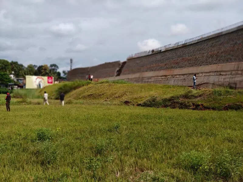 Viaduct to replace collapsed highway section at Kooriyadu