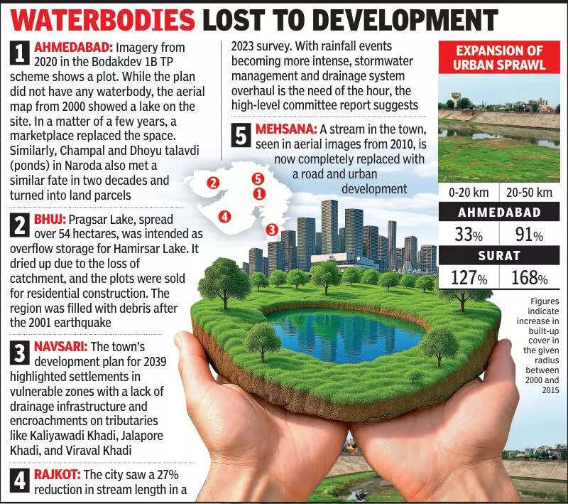 Gujarat govt mulls legislation to conserve urban waterbodies, green spaces