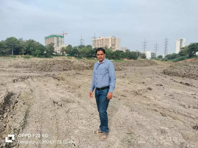 Volunteers’ hard work bears fruits, literally, on trees at Gangashetty Lake in Bengaluru