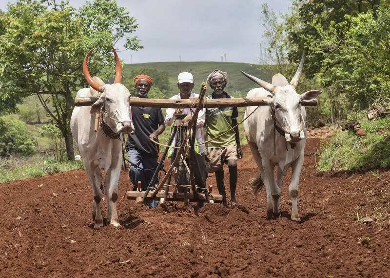 Cong seeksurgent relief of 50,000 per hectare for farmers