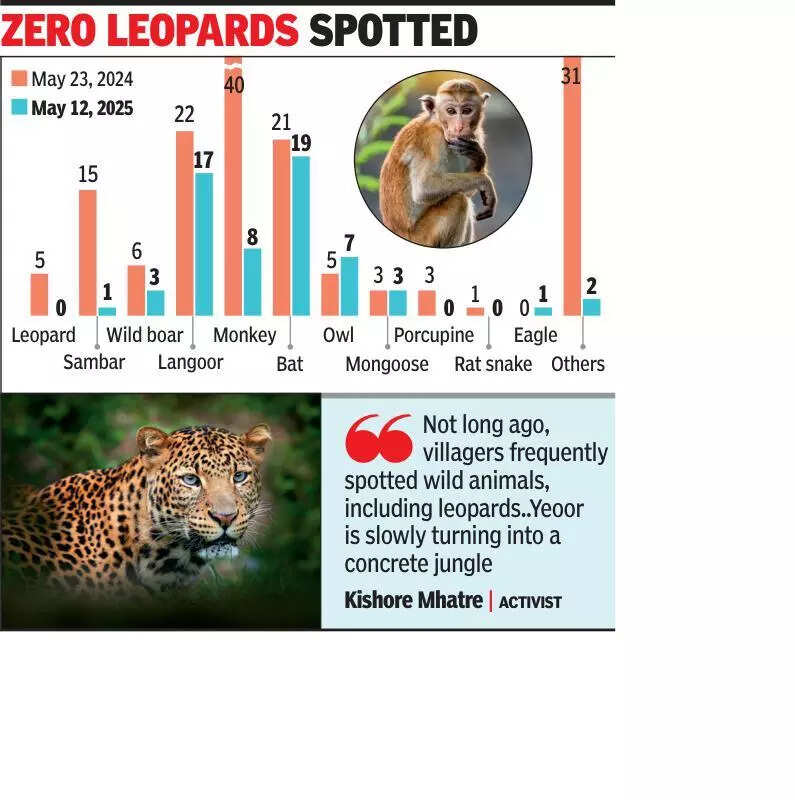 Wildlife sightings drop 50% at Yeoor as human activity rises