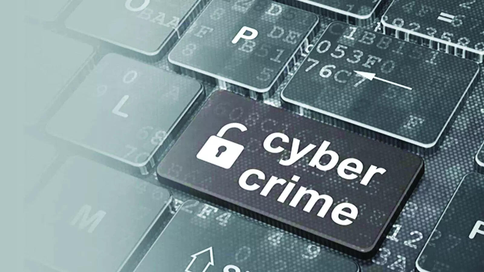Goa tops ability to report cybercrime, 50% females can report online frauds