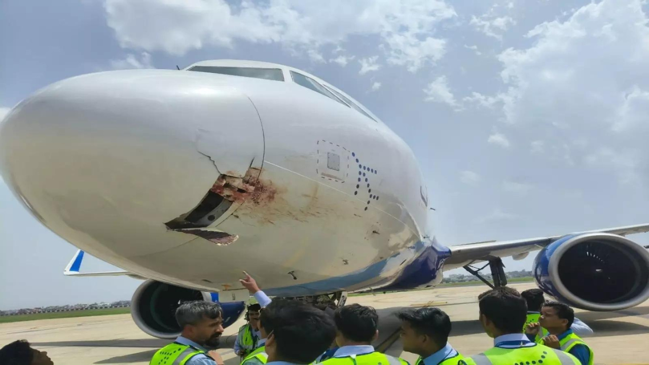 Bird-hit IndiGo flight makes emergency Ranchi landing
