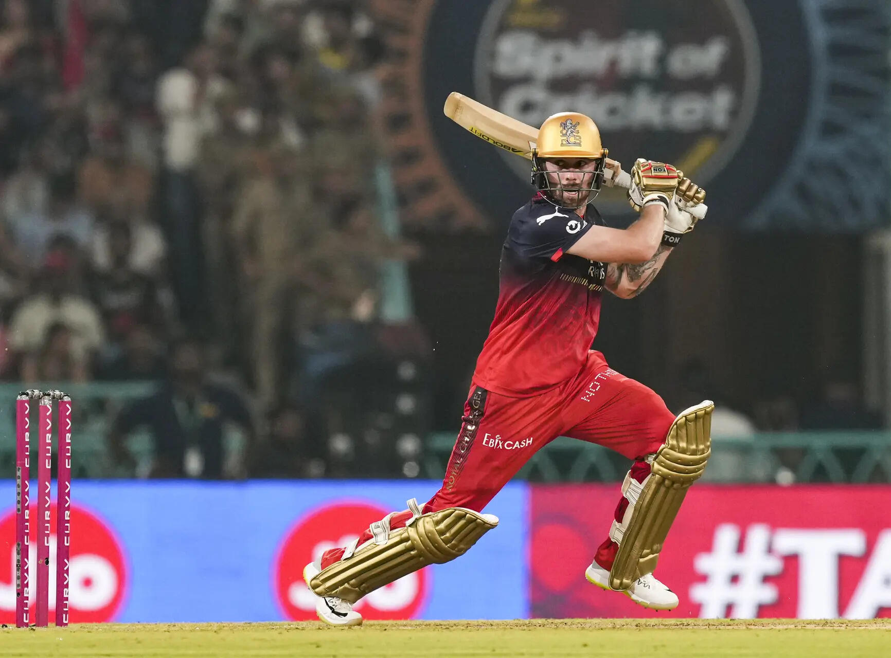 Will Phil Salt play in the IPL Final against Punjab Kings? RCB yet to confirm