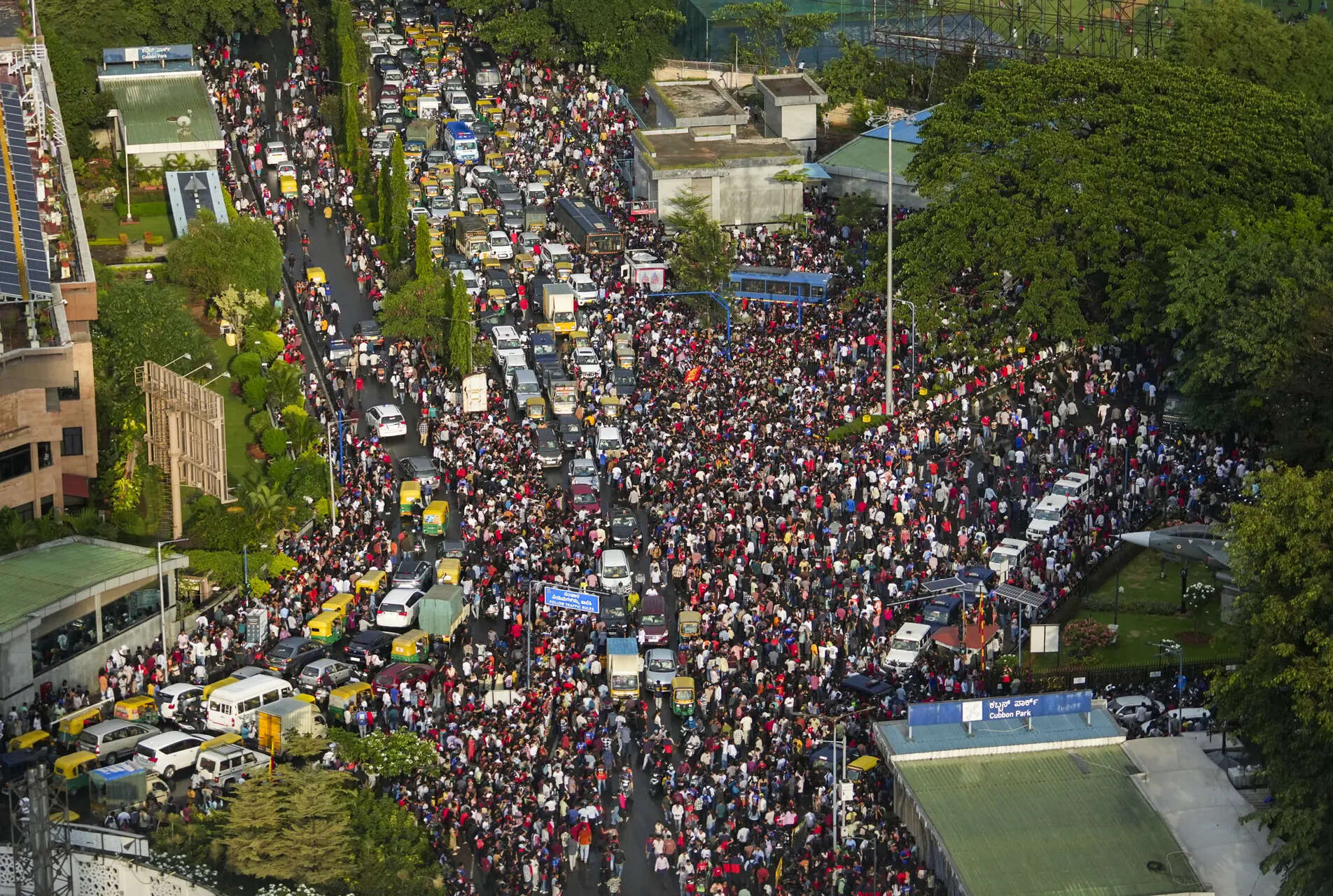 Watch: Fans climb trees and buses to witness RCB’s IPL victory