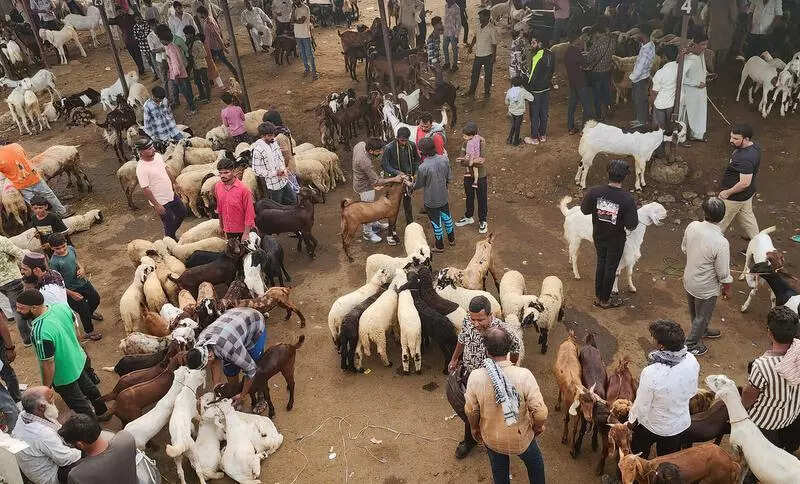 msid 121631900,imgsize 93110 https://jaipur.visitinrajasthan.com/wp-content/uploads/2023/10/cropped-cropped-R-2.png