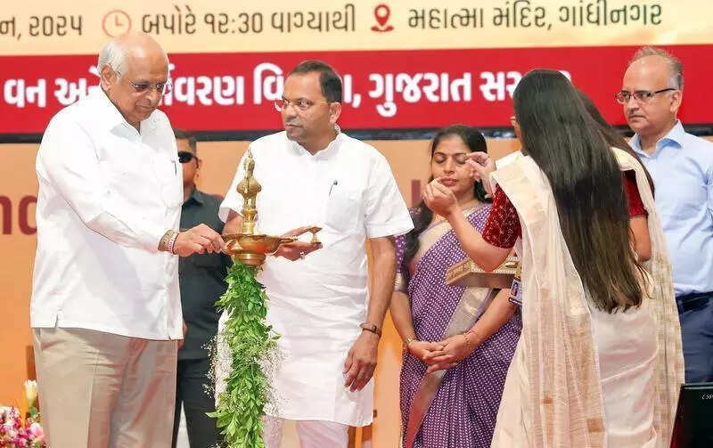 Time to make campaign against plastic a mass movement: Gujarat CM
